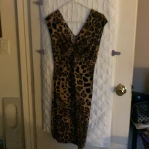 Woman’s Sleeveless Dress Medium (my favorite dress)